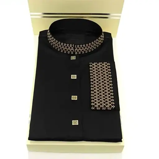p3-1.webp Trendy Panjabi with Chest Contrast - Image 1
